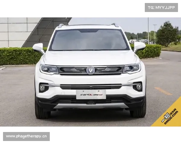 一猫汽车2015年终盘点