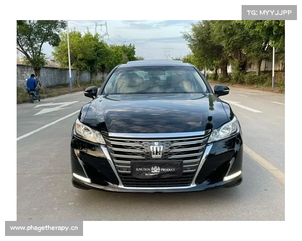 一汽丰田全新皇冠2.0T+上市 26.48万起