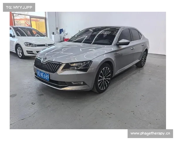 三种动力五款车型斯柯达新速派焕新登场