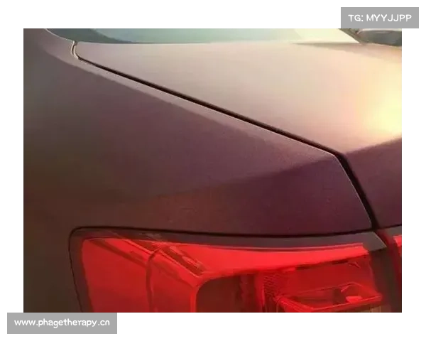 不一样的调调 大众速腾电光绛紫车身改色贴膜