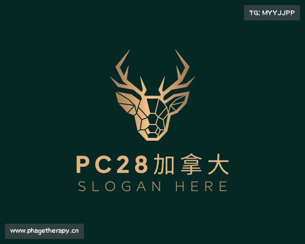 认识pc28加拿大